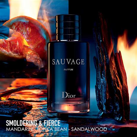 parfum barbatesc dior sauvage|Dior cologne perfume.